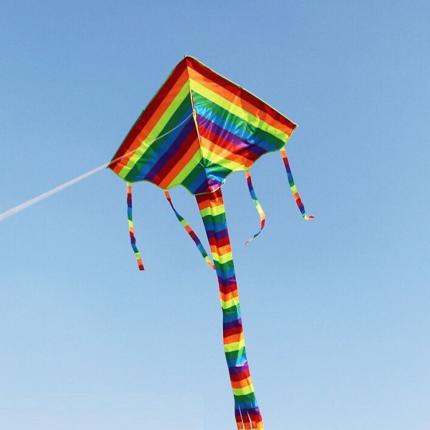 Змей воздушный S6001 2,3 м Треугольник Змей воздушный S6001 2,3 м Треугольник