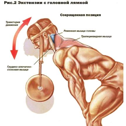 Лямки-тяги для головы кожа F041 фото 3