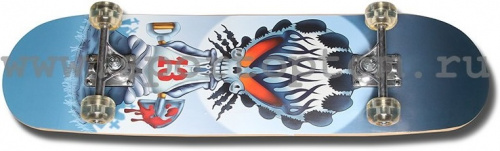 Скейтборд 31x8" (78,7х20 см) 85-SHN Senhai