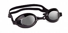 Очки для плавания Stalker Adult черный/серый 17W 995752