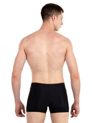 Плавки мужские шорты 44р 3001-44 фото 2