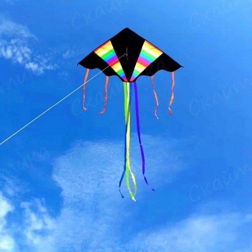 Змей воздушный S6049 1,55х0,78 м + 4 хвоста 2 м Черная стрела 997565 Змей воздушный S6049 1,55х0,78 м + 4 хвоста 2 м Черная стрела 997565