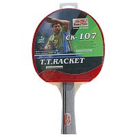 Ракетка для пинг-понга T.T.Racket Double Fish (107) 2564522