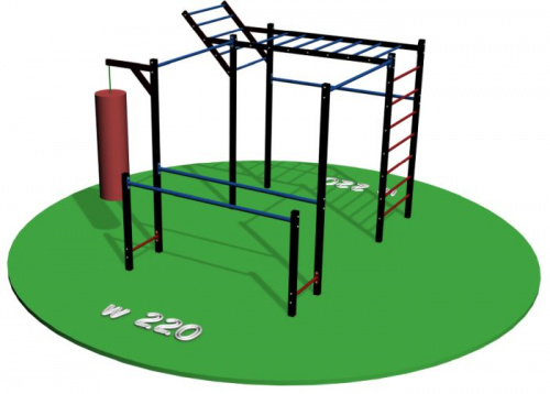 Workout площадка W220 2,95х2 м