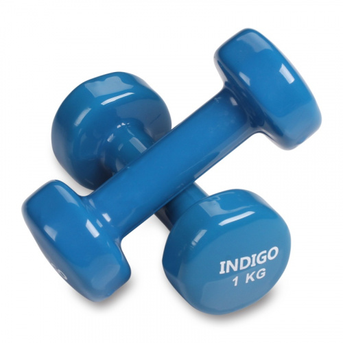 Гантель обливная 1 кг синий 92005 12238