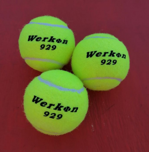 Мячик для большого тенниса 1 шт Werkon в тубе 01006 997009 фото 3