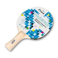 Ракетка для пинг-понга 0* EK00 Ekipa 01874
