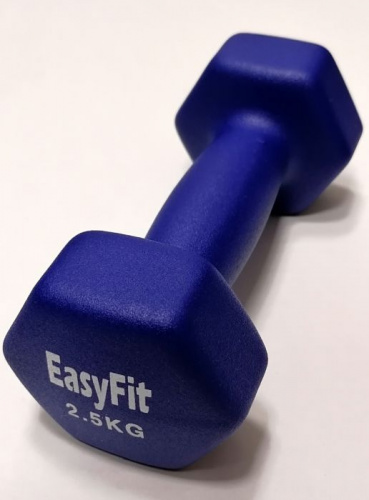 Гантель обливная 2,5 кг синий неопрен 02958