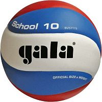 Мяч волейбольный Gala School 10 бел-голуб-красн BV5711S