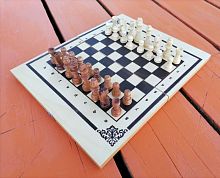 Шахматы походные 25х14,5х3,5 см ШК-22 995901