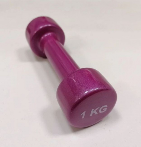 Гантель обливная 1 кг вишневый 995454 Гантель обливная 1 кг вишневый 995454
