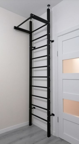 Шведская стенка Pro с турником, к стене+враспор, 2.65х0.71 м черная 996563