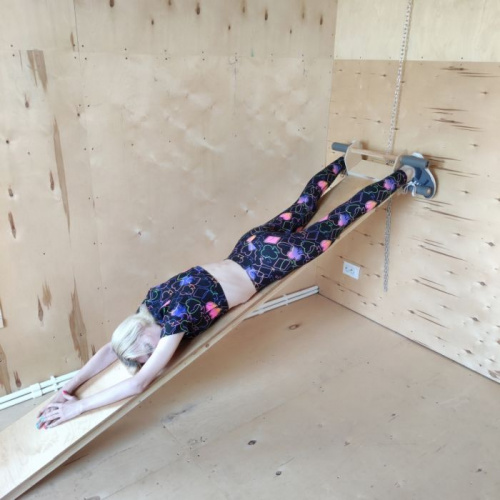 Профилактор Евминова (аналог) 31х244 см, толщина 18 мм 12259 фото 4