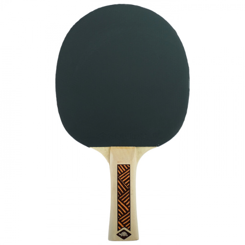 Ракетка для пинг-понга 3* Donic Champs 300 4243538 фото 4 Ракетка для пинг-понга 3* Donic Champs 300 4243538 фото 4