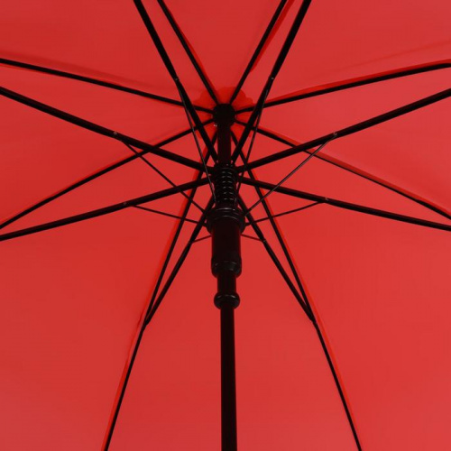 Зонт женский п/автомат микс 5556396 фото 3 Зонт женский п/автомат микс 5556396 фото 3