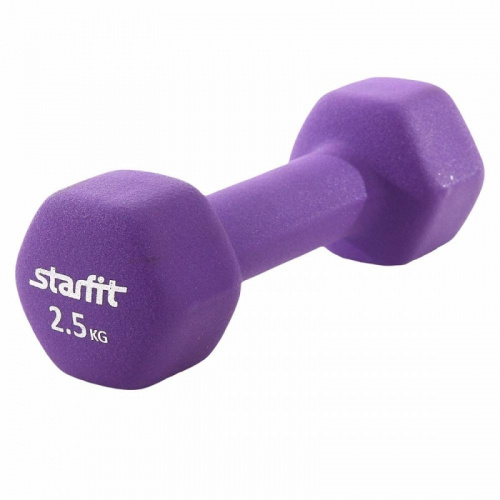 Гантель обливная 2,5 кг фиолетовый DB-201 Starfit PapaZ