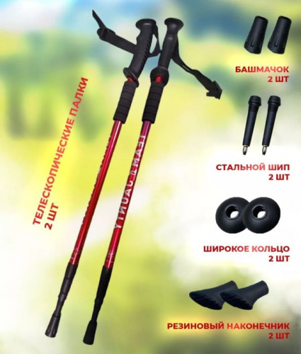 Палки для скандинавской ходьбы раздв 65-135 см (красный) Team Jaunty 995839
