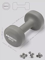 Гантель обливная 5 кг серый ProIron (2 шт) 996578
