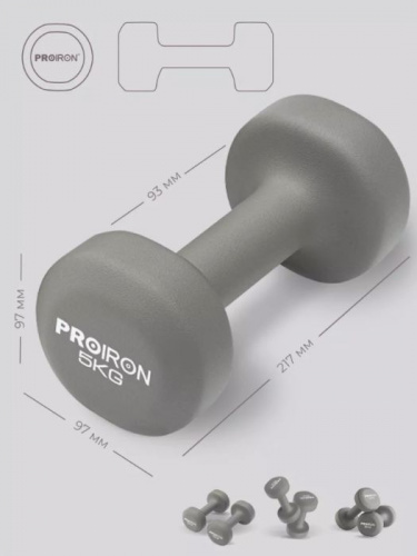 Гантель обливная 5 кг серый ProIron (2 шт) 996578