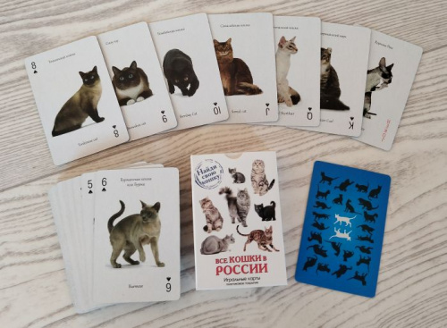 Карты 54 шт Все кошки России 330156