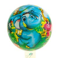Мяч ПВХ 22 см Зоомир, 60 гр 305580
