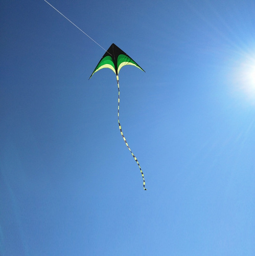 Змей воздушный S600521 2 м+10 м хвост Зеленая стрела фото 5