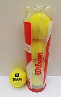 Мячик для большого тенниса 1 шт Wilson Team Pracice WRT111900
