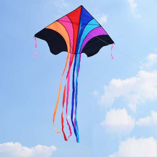 Змей воздушный S4003 1,6х3,6 м Треугольник Бабочка Змей воздушный S4003 1,6х3,6 м Треугольник Бабочка