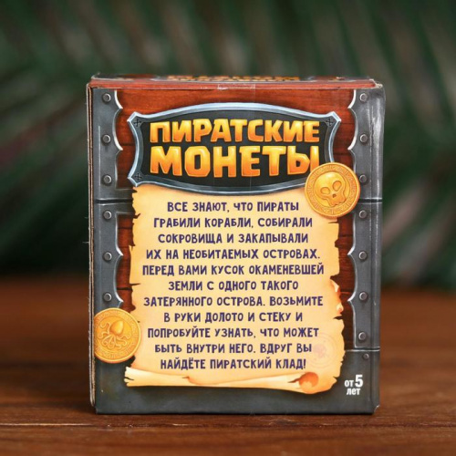 Игра набор для раскопок "Пиратские монеты" 4064769 фото 4