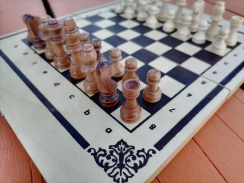 Шахматы походные 25х14,5х3,5 см ШК-22 995901 фото 4 Шахматы походные 25х14,5х3,5 см ШК-22 995901 фото 4