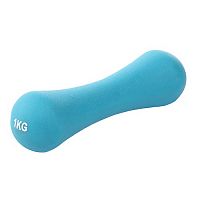 Гантель обливная 1 кг голубая кость Start Up NT168B 353648