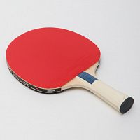 Ракетка для пинг-понга Buttefly Softspin Plus CV Atemi