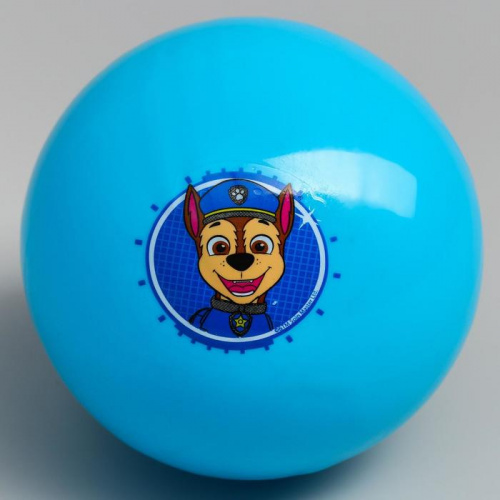 Мяч ПВХ 16 см Paw Patrol "Гончик" 5083416 фото 2