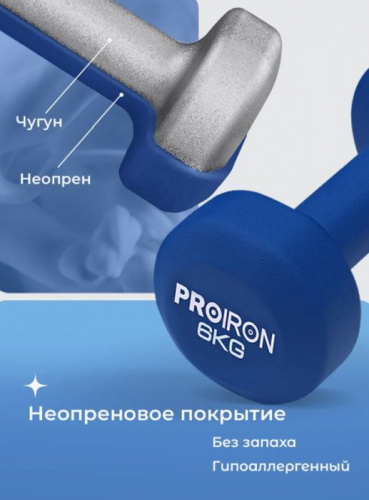 Гантель обливная 6 кг синий ProIron (2 шт) 996579 фото 2