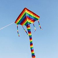 Змей воздушный S6001 2,3 м Треугольник