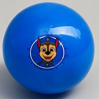 Мяч ПВХ 16 см Paw Patrol "Гончик" 5083416