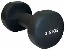 Гантель обливная 2,5 кг черный неопрен 03602