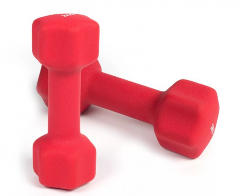 Гантель обливная 2,5 кг красная неопрен 02957 02002