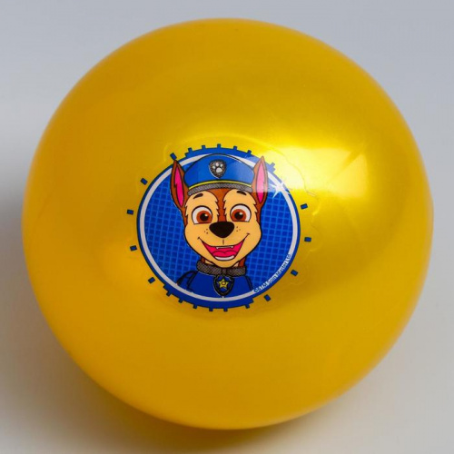 Мяч ПВХ 16 см Paw Patrol "Гончик" 5083416 фото 3