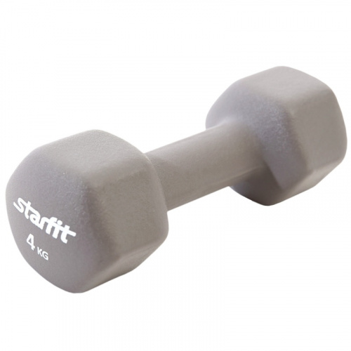 Гантель обливная 4 кг серый DB-201 Starfit PapaZ