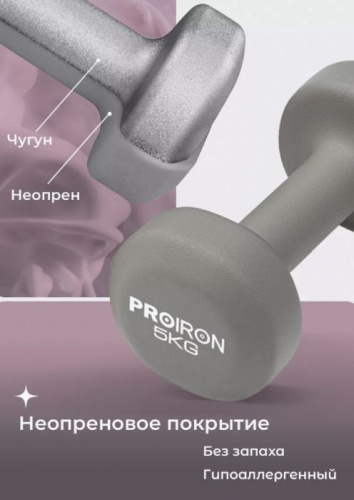 Гантель обливная 5 кг серый ProIron (2 шт) 996578 фото 2