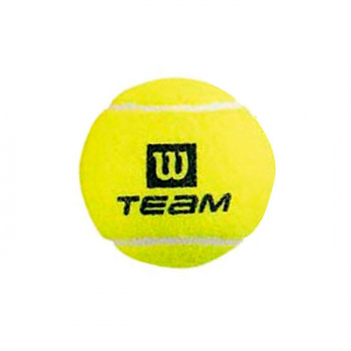 Мячик для большого тенниса 1 шт Wilson Team Pracice WRT111900 фото 2