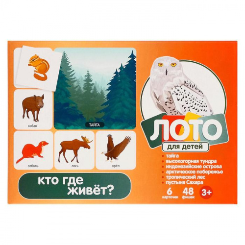 Лото "Кто, где живет?" 00078/2821384 фото 4