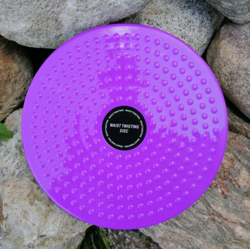 Диск Здоровье пластик 25 см фиолетовый 996199