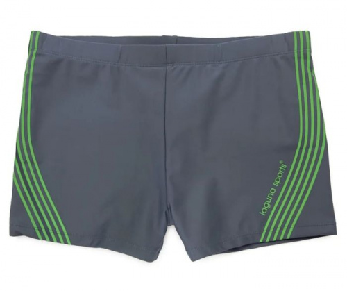 Плавки мужские шорты 52р Laguna серый-зеленый 995995 Плавки мужские шорты 52р Laguna серый-зеленый 995995