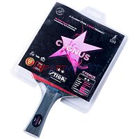 Ракетка для пинг-понга Stiga Cygnus 2*