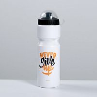 Бутылка для воды 750 мл "Never Give Up" 5115150